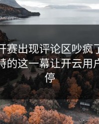 美网公开赛出现评论区吵疯了：杜兰特和多特的这一幕让开云用户议论不停