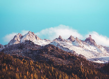 CBA少有人注意到的变化:杜兰特的动作被专业分析师点名,云开体育也关注到了