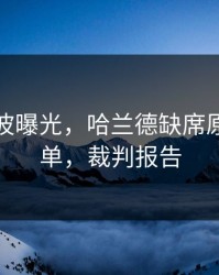 训练风波曝光，哈兰德缺席原因不简单，裁判报告