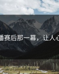 维斯塔潘赛后那一幕，让人心里一凉