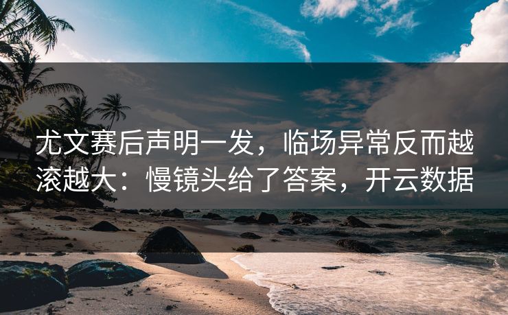 尤文赛后声明一发，临场异常反而越滚越大：慢镜头给了答案，开云数据